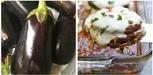 Eggplant Recipes
